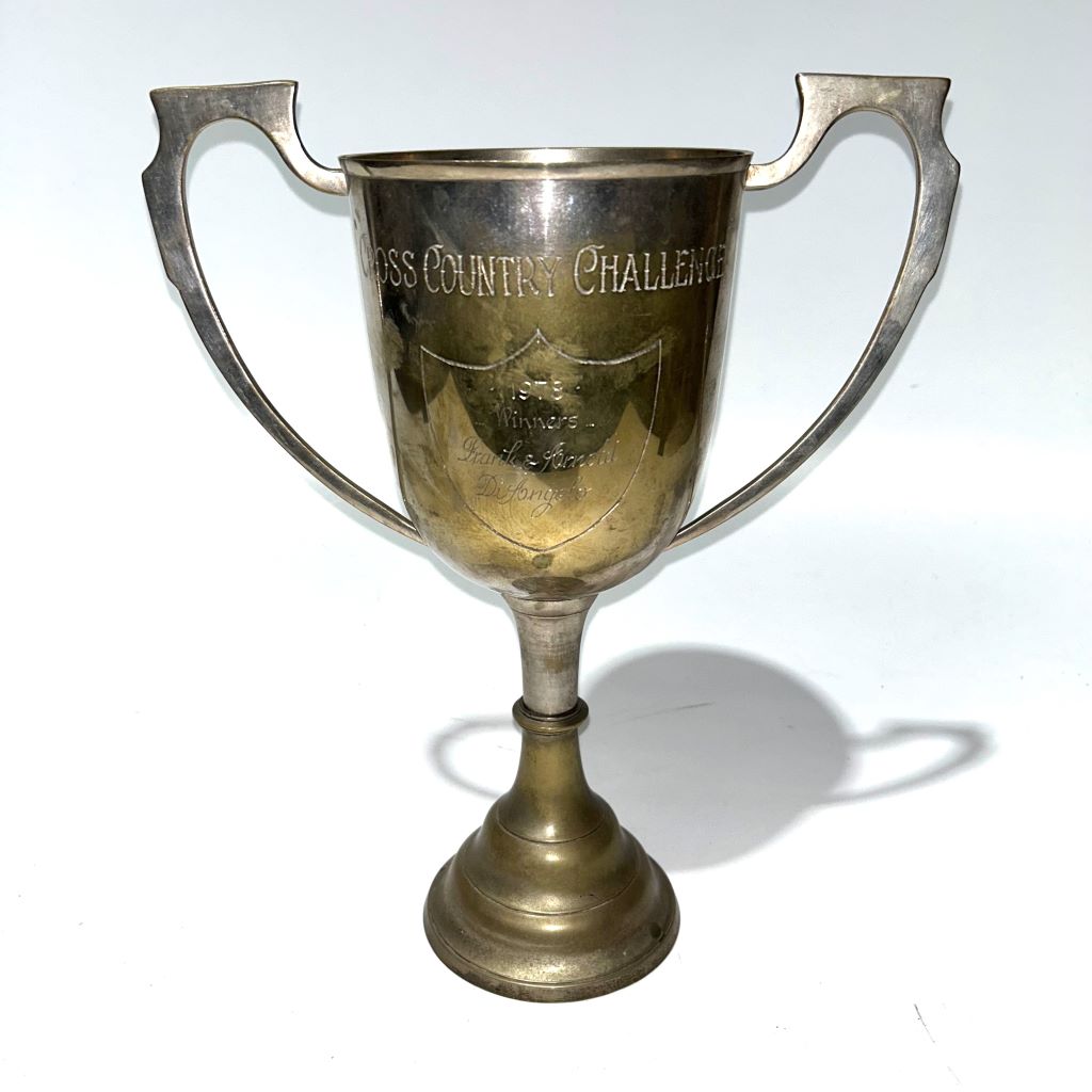 TROPHY, Cup - Ex Large 45-50cm H (Style 1)